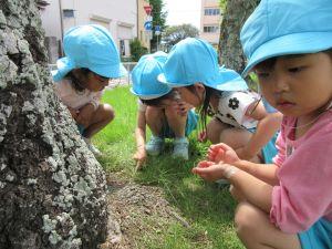 IMG_2468 IMG_2468