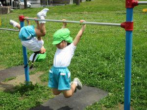 IMG_2480 IMG_2480