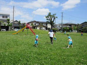 IMG_2489 IMG_2489