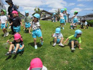 IMG_2518 IMG_2518