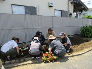 IMG_1879 IMG_1879