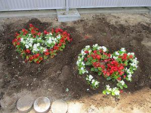 IMG_1880 IMG_1880