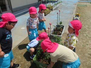 IMG_1872 IMG_1872
