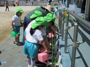 IMG_2362 IMG_2362