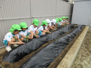 IMG_2130 IMG_2130