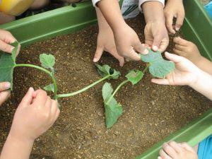 IMG_2054 IMG_2054