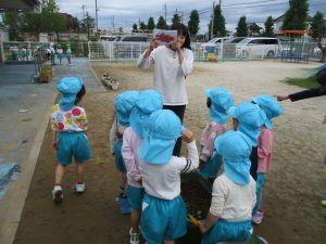 IMG_2058 IMG_2058