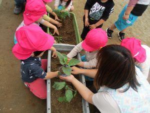 IMG_1999 IMG_1999