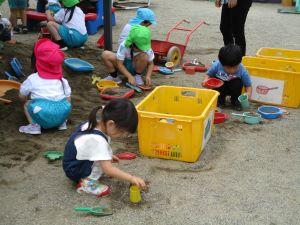 IMG_2333 IMG_2333