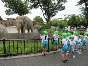 IMG_3161 IMG_3161