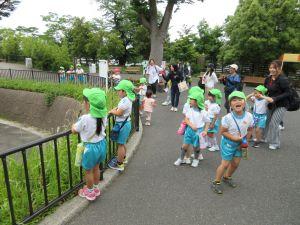 IMG_3162 IMG_3162