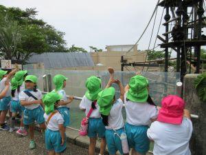 IMG_3170 IMG_3170