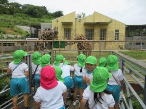 IMG_3183 IMG_3183