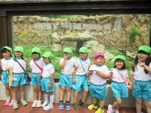 IMG_3192 IMG_3192
