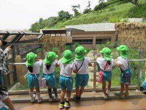 IMG_3198 IMG_3198