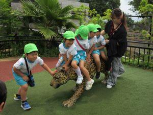 IMG_3218 IMG_3218