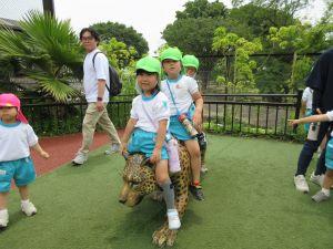 IMG_3225 IMG_3225