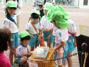 IMG_3269 IMG_3269