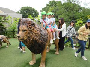 IMG_3228 IMG_3228