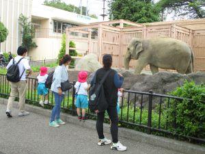 IMG_2035 IMG_2035