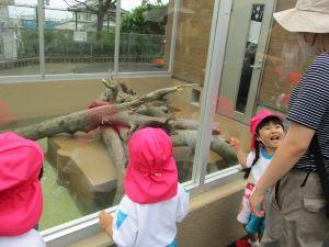 IMG_2039 IMG_2039