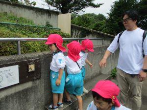 IMG_2061 IMG_2061