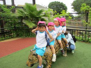 IMG_2089 IMG_2089