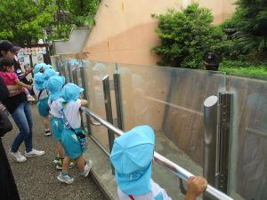 IMG_2370 IMG_2370