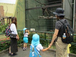 IMG_2374 IMG_2374