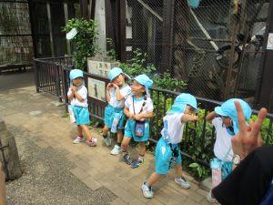 IMG_2376 IMG_2376
