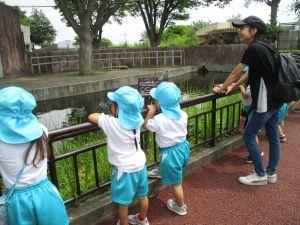IMG_2378 IMG_2378