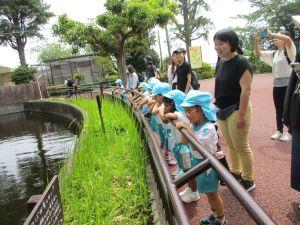 IMG_2382 IMG_2382