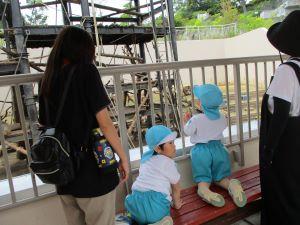 IMG_2385 IMG_2385