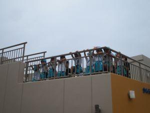 IMG_2389 IMG_2389