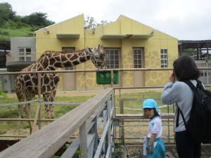 IMG_2405 IMG_2405