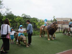 IMG_2414 IMG_2414