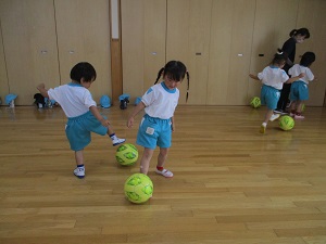 IMG_2531 IMG_2531