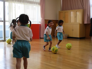 IMG_2549 IMG_2549