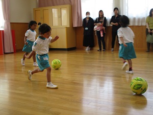 IMG_2554 IMG_2554