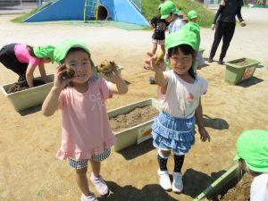 IMG_3601 IMG_3601