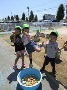 IMG_3603 IMG_3603