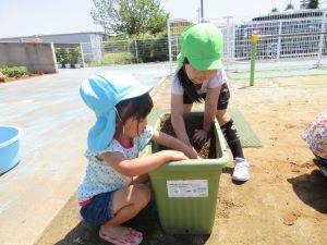 IMG_3620 IMG_3620