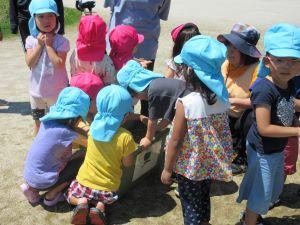 IMG_3622 IMG_3622