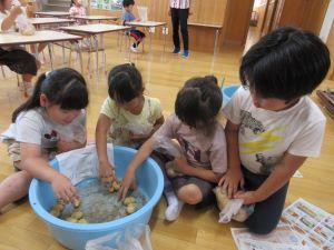 IMG_3644 IMG_3644
