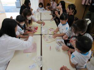 IMG_3732 IMG_3732
