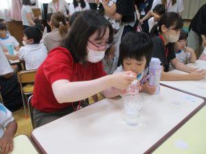 IMG_2677 IMG_2677