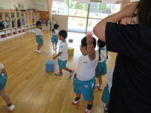 IMG_4242 IMG_4242