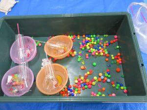 IMG_4377 IMG_4377
