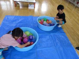 IMG_2556 IMG_2556