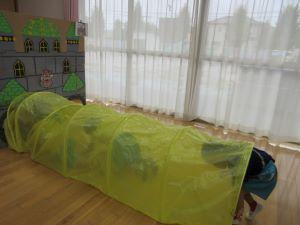 IMG_5138 IMG_5138